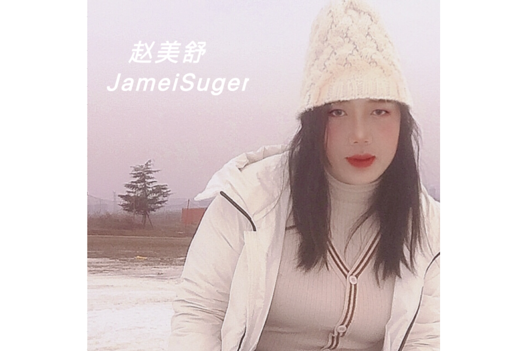 機會(趙美舒的歌曲) 機會(趙美舒的歌曲)