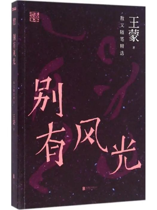 別有風光(2016年北京聯合出版公司出版的圖書) 別有風光(2016年北京聯合出版公司出版的圖書)