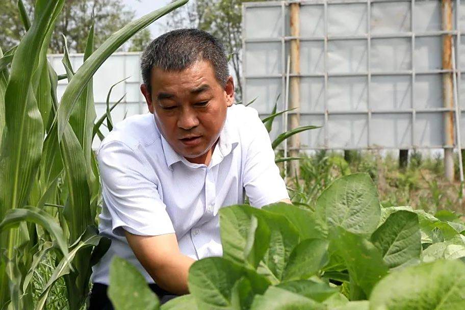 龐增華 龐增華
