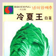 夏王(白菜品種)