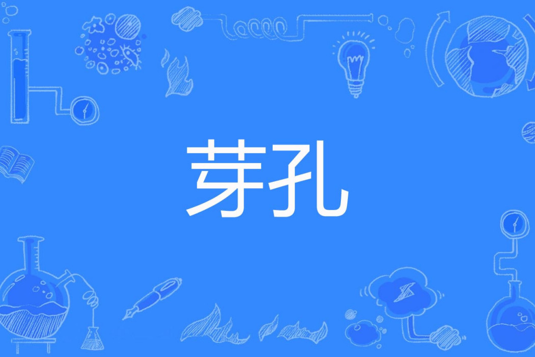 芽孔 芽孔