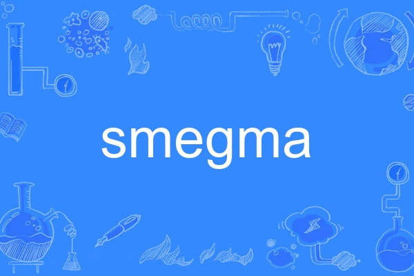 smegma smegma