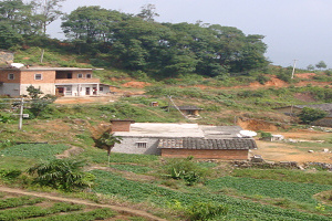 益林村(福建省泉州安溪縣官橋鎮下轄村) 益林村(福建省泉州安溪縣官橋鎮下轄村)