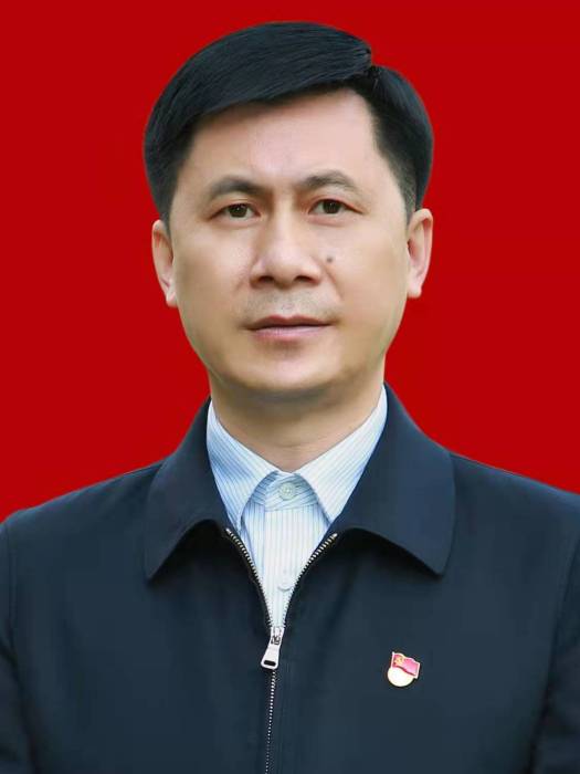 林燁(振燁國際集團黨委書記、董事局主席) 林燁(振燁國際集團黨委書記、董事局主席)