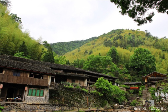 靈運村 靈運村