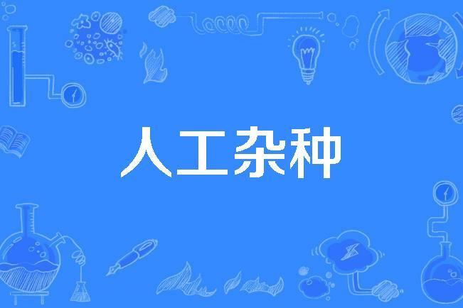 人工雜種 人工雜種