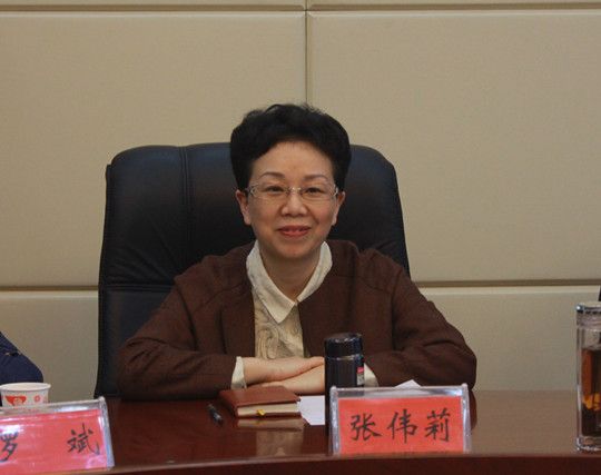 張偉莉(津市市人民政府副市長) 張偉莉(津市市人民政府副市長)