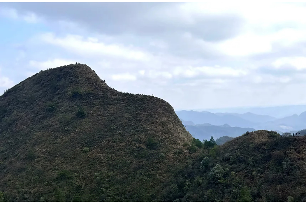 雲霧山(貴州省貴陽市白雲區境內山峰) 雲霧山(貴州省貴陽市白雲區境內山峰)