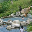 信義鄉(陝西省渭南市臨渭區信義鄉)