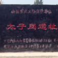 太子崗遺址 太子崗遺址