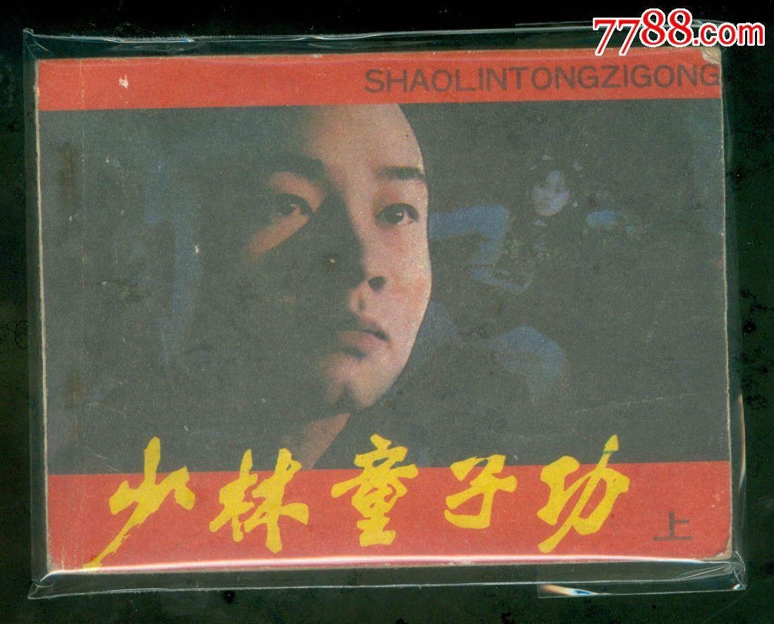少林童子功(1986年薛後指導電影)