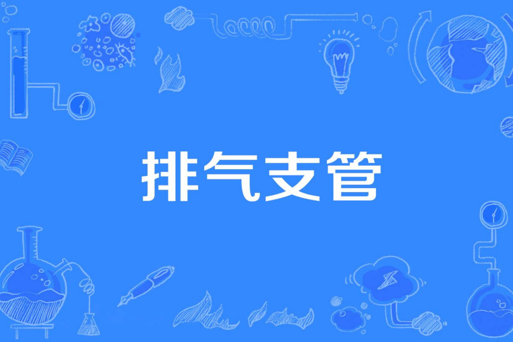 排氣支管 排氣支管