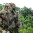 金山屯區 金山屯區