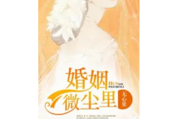 婚姻微塵里 婚姻微塵里