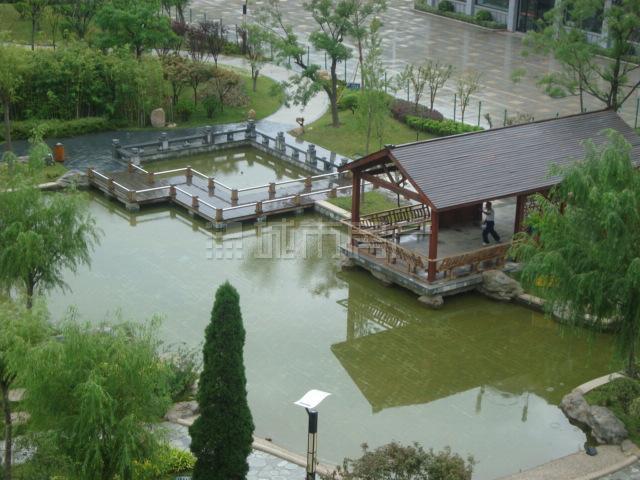 紫郡城 紫郡城