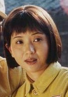 追日(2004年鄭方南執導電視劇)