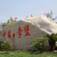 李堡村(河南省蘭考縣南彰鎮李堡村) 李堡村(河南省蘭考縣南彰鎮李堡村)