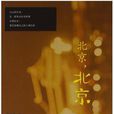 北京北京(鐘宜霖小說)
