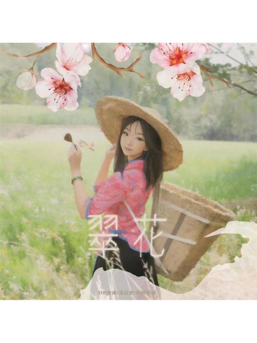 翠花(DP龍豬、王雲宏、陷阱表哥演唱的歌曲) 翠花(DP龍豬、王雲宏、陷阱表哥演唱的歌曲)