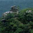 郭家河鄉