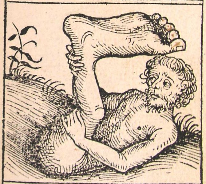1493年的獨腳人圖畫