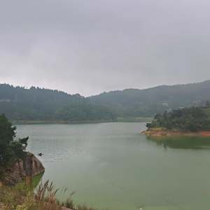 羅大沖水庫 羅大沖水庫