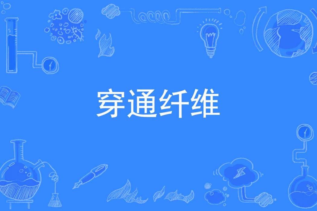 穿通纖維 穿通纖維