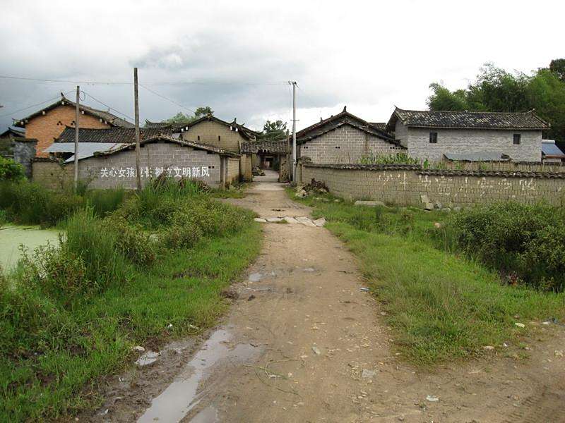 河派村 河派村