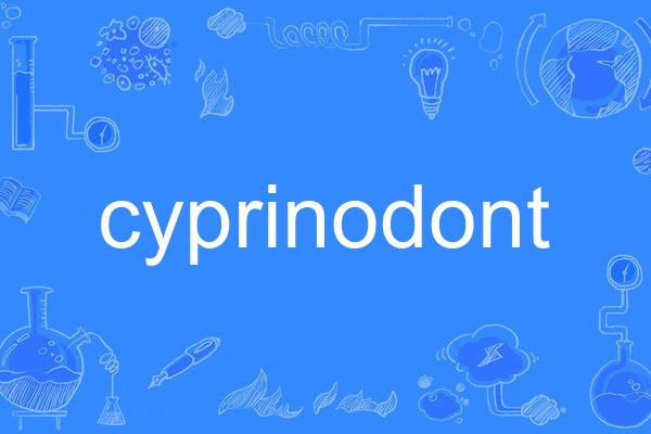cyprinodont cyprinodont