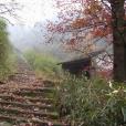 陶元嶺古道 陶元嶺古道