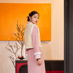 新中裝(新中式服裝)