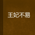 王妃不易 王妃不易