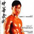中華武術(中國國家體育總局發行雜誌) 中華武術(中國國家體育總局發行雜誌)