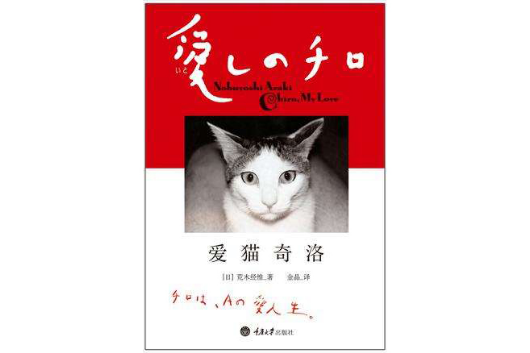 愛貓奇洛 愛貓奇洛