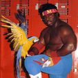 James Ware James Ware
