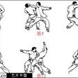 八極拳溯源 八極拳溯源