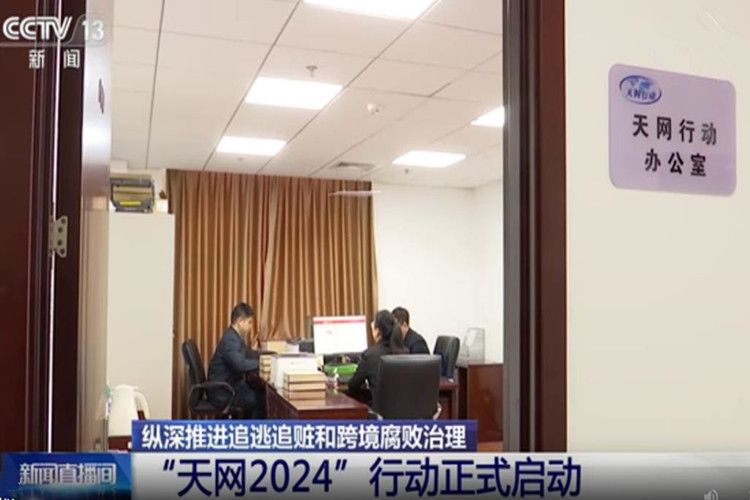 天網2024 天網2024
