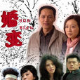 婚變(2008年馮遠征、陳小藝主演電視劇)