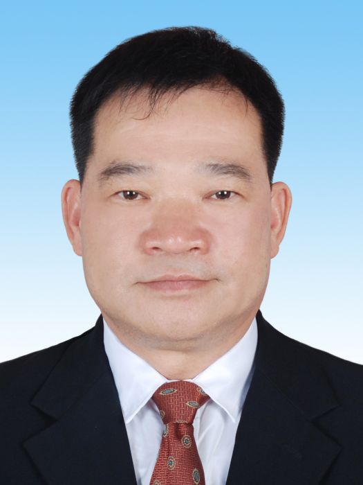 林炳偉(廣東省雲浮市公路事務中心副主任) 林炳偉(廣東省雲浮市公路事務中心副主任)