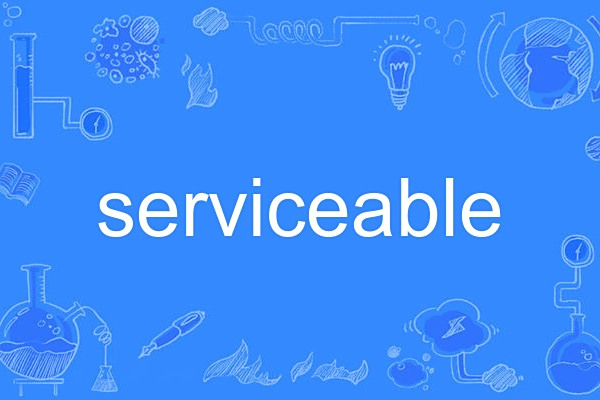 serviceable serviceable