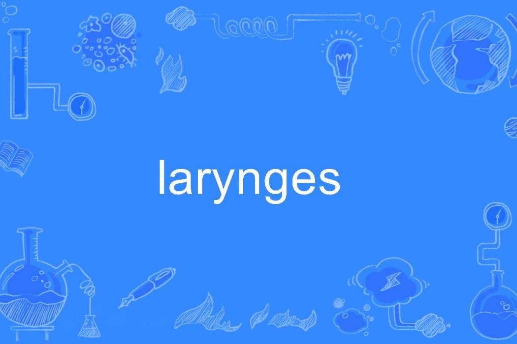 larynges