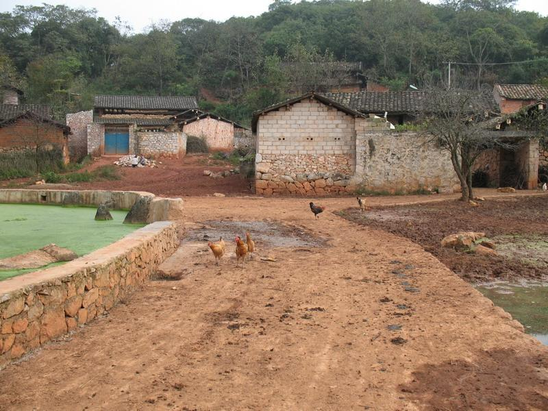 馬嘎村(雲南文山州丘北縣曰者鎮下轄村) 馬嘎村(雲南文山州丘北縣曰者鎮下轄村)