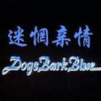 迷茫親情