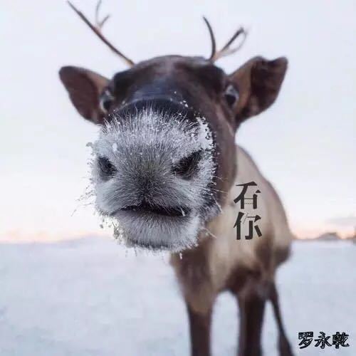 看你(羅永乾專輯) 看你(羅永乾專輯)