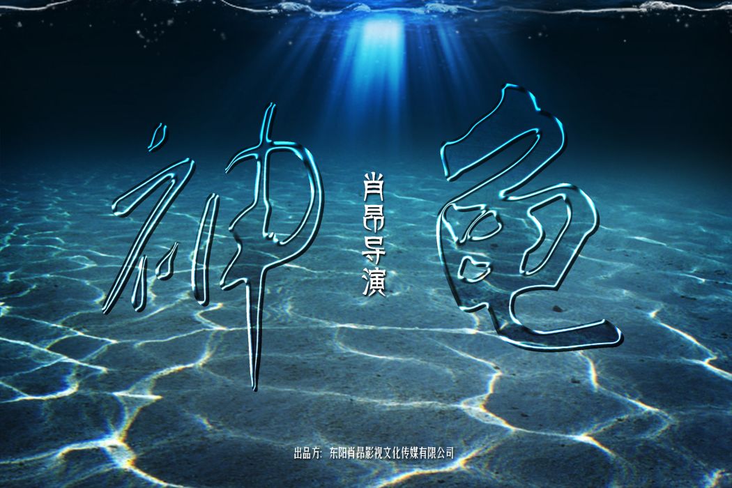 神龜(肖昂執導的電影作品) 神龜(肖昂執導的電影作品)
