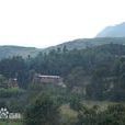 打古坑村 打古坑村