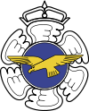 芬蘭空軍的標誌