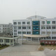 塢根