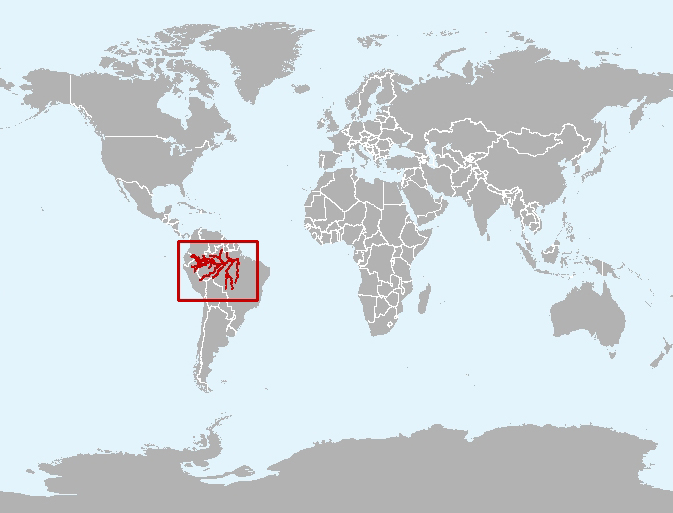 土庫海豚地理分布