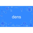 dens dens